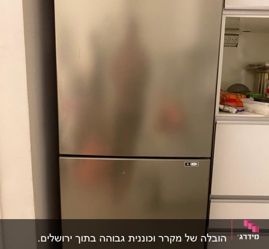 מקרר מתכת גדול עם דלתות כפולות